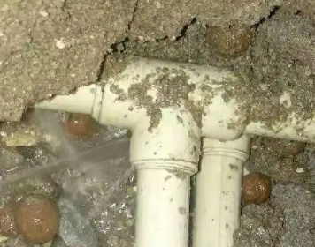 汤原测漏水多少钱