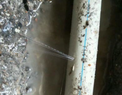 汤原测漏水哪家好