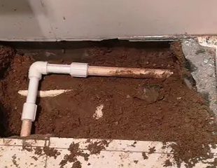 汤原测漏水哪家好