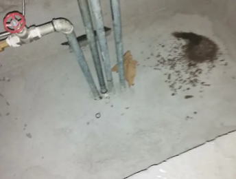 汤原卫生间测漏水价格明细